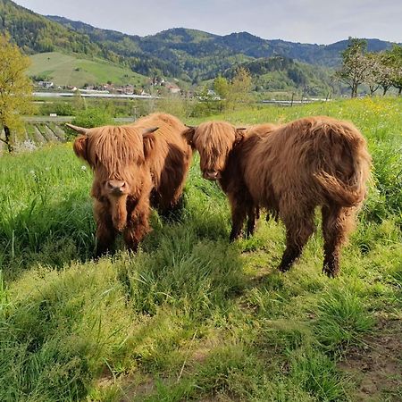 Ferienhof Vordere Alm โอเบอร์เคียร์ช ภายนอก รูปภาพ